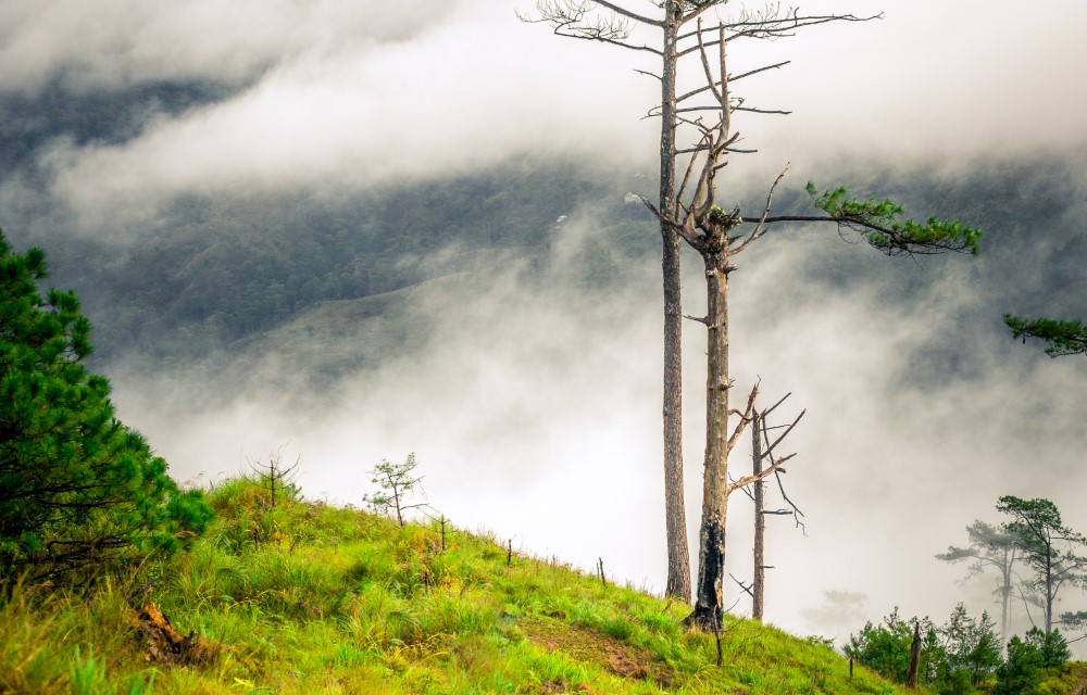 Awazul Bacalar - Transforming Business Travel: How Hotels Are Catering to the Modern Corporate Traveler